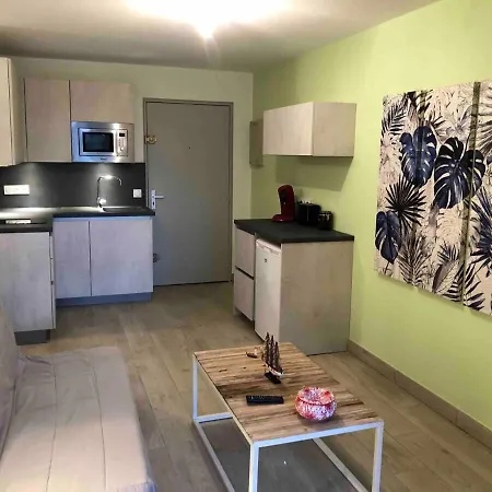 Apartment Chez Fleur Et Francky Saint-Cyprien (Pyrenees-Orientales)