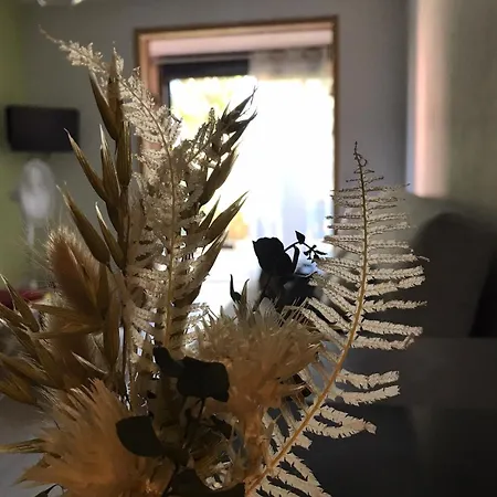 Chez Fleur Et Francky Apartament *